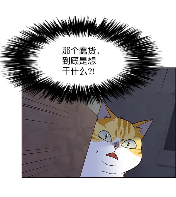 漫画《觉醒吧，铲屎官！》第5话第107张图