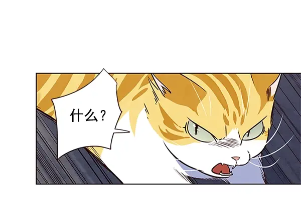 漫画《觉醒吧，铲屎官！》第5话第130张图
