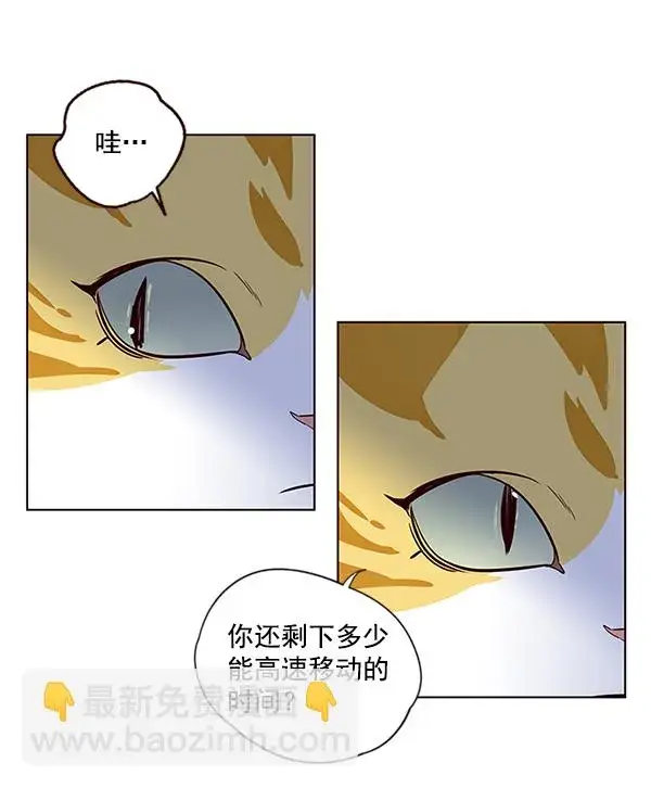 漫画《觉醒吧，铲屎官！》第5话第17张图