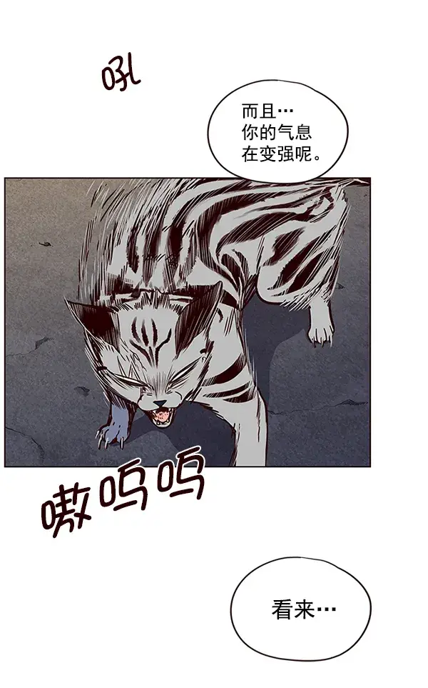 漫画《觉醒吧，铲屎官！》第5话第38张图