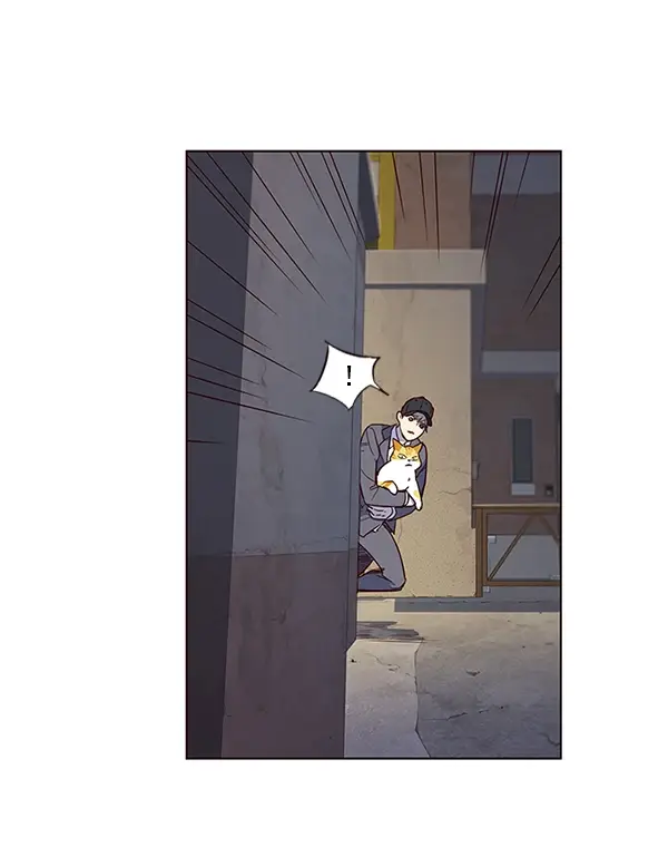 漫画《觉醒吧，铲屎官！》第5话第40张图