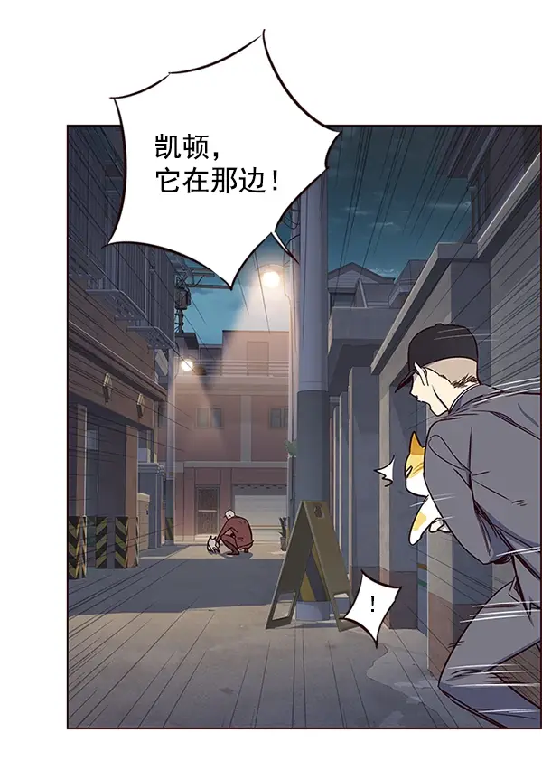 漫画《觉醒吧，铲屎官！》第5话第41张图