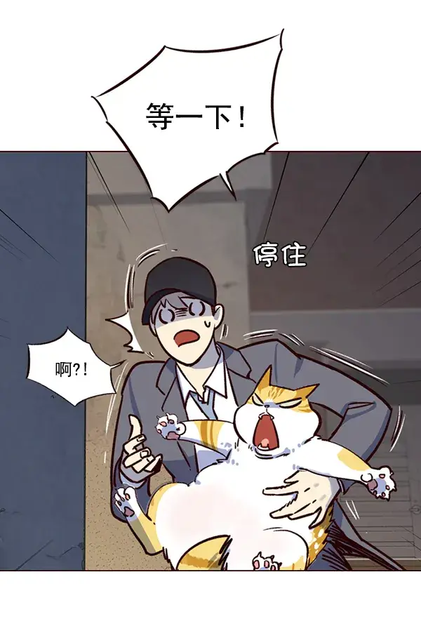 漫画《觉醒吧，铲屎官！》第5话第42张图