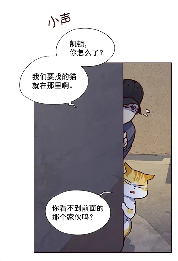 漫画《觉醒吧，铲屎官！》第5话第47张图