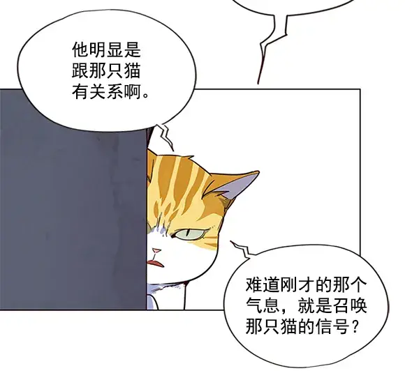 漫画《觉醒吧，铲屎官！》第5话第50张图