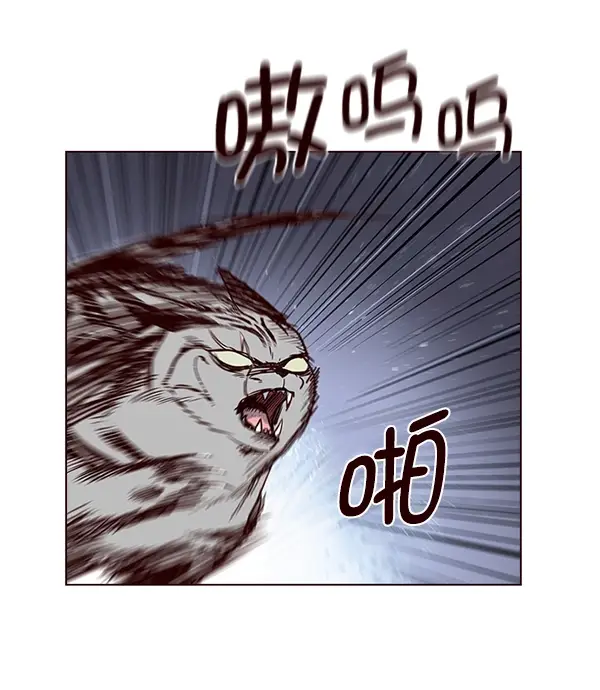 漫画《觉醒吧，铲屎官！》第5话第53张图