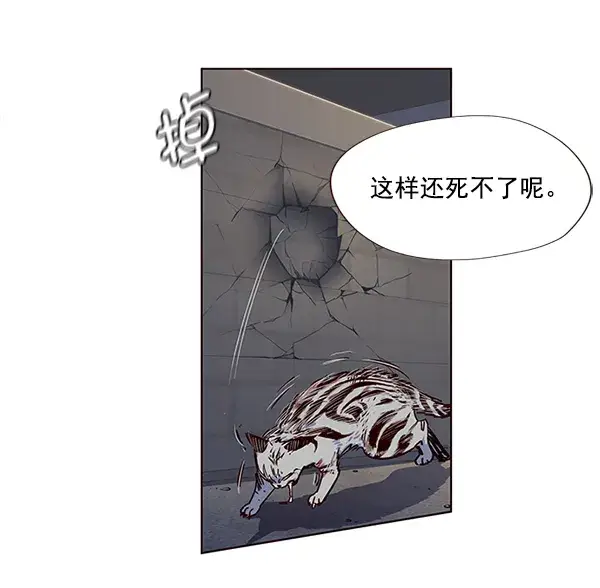 漫画《觉醒吧，铲屎官！》第5话第58张图