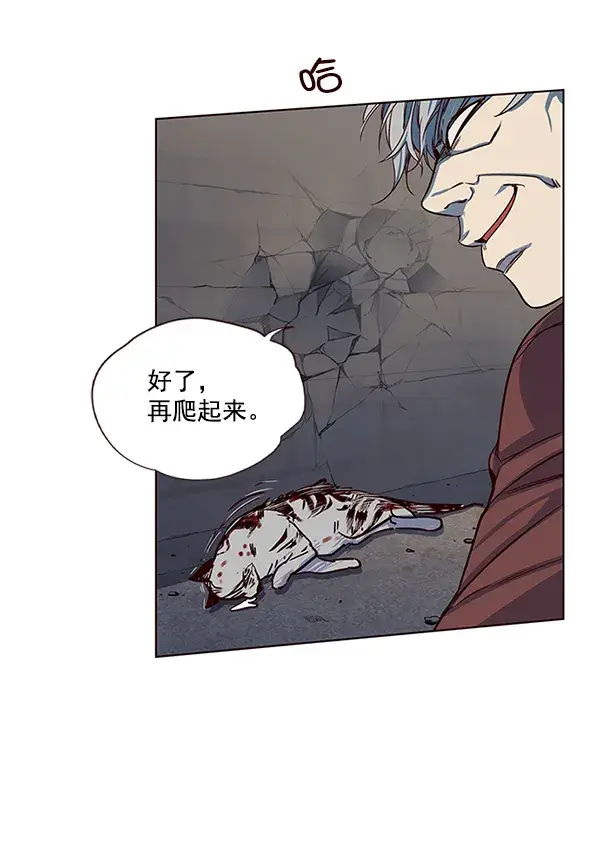漫画《觉醒吧，铲屎官！》第5话第65张图