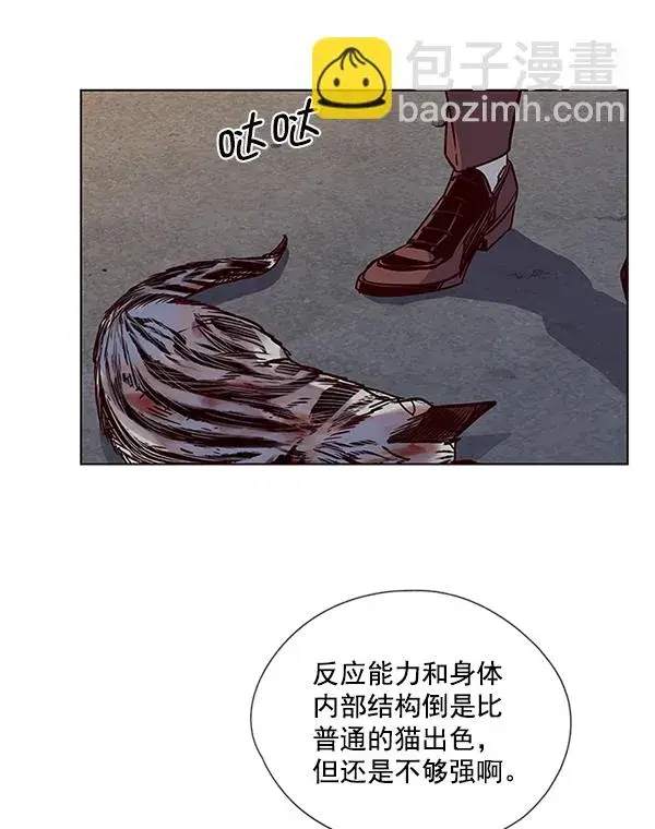 漫画《觉醒吧，铲屎官！》第5话第71张图