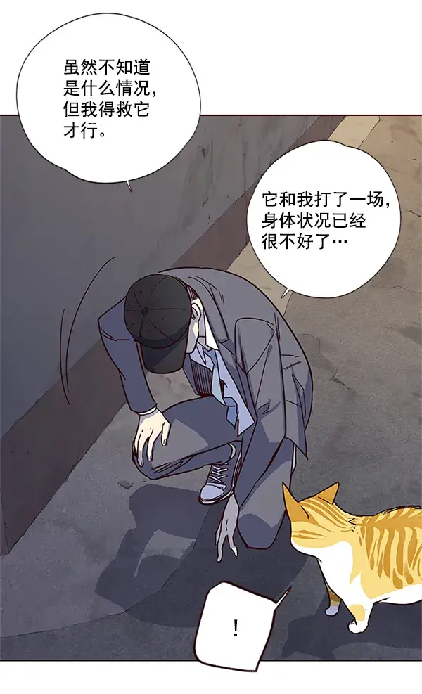 漫画《觉醒吧，铲屎官！》第5话第75张图