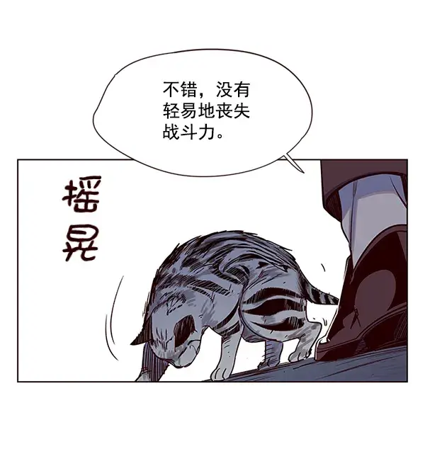 漫画《觉醒吧，铲屎官！》第5话第87张图