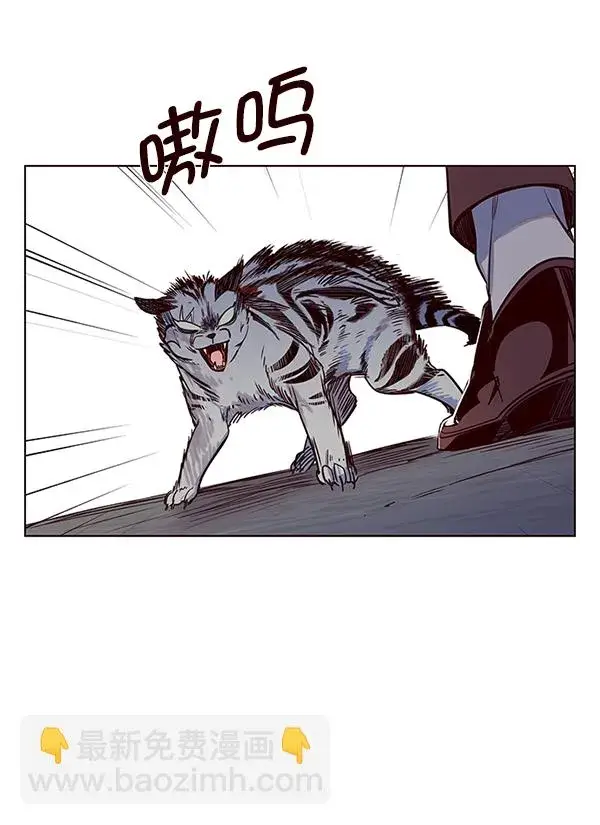 漫画《觉醒吧，铲屎官！》第5话第88张图