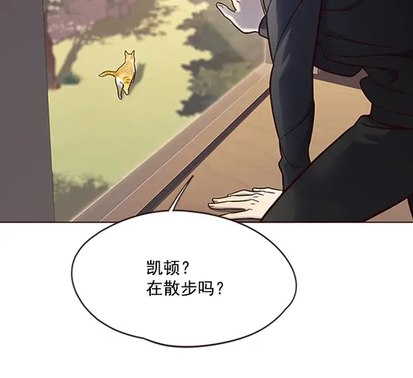 漫画《觉醒吧，铲屎官！》第80话第57张图