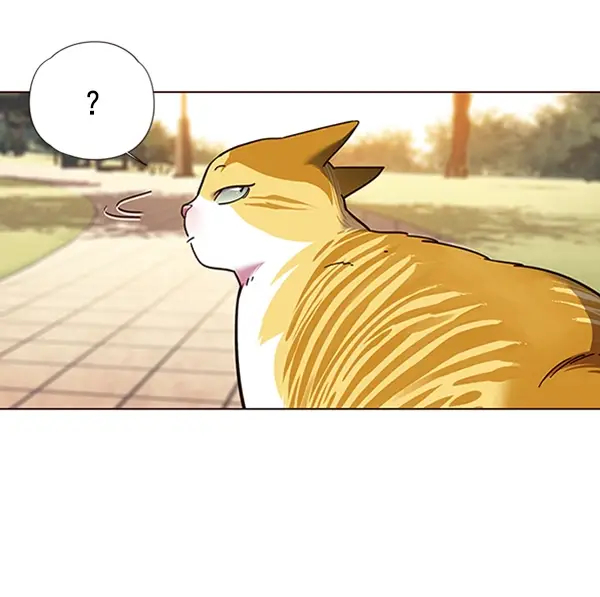 漫画《觉醒吧，铲屎官！》第80话第59张图