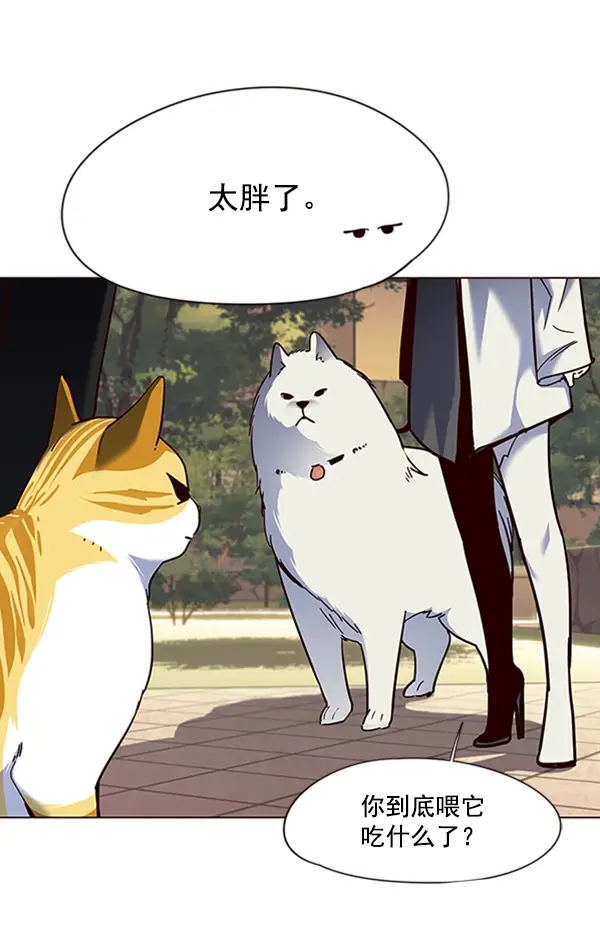 漫画《觉醒吧，铲屎官！》第80话第73张图