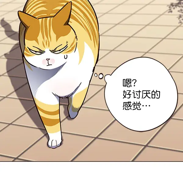 漫画《觉醒吧，铲屎官！》第81话第13张图