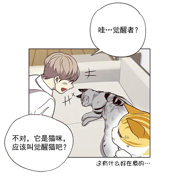 漫画《觉醒吧，铲屎官！》第6话第10张图