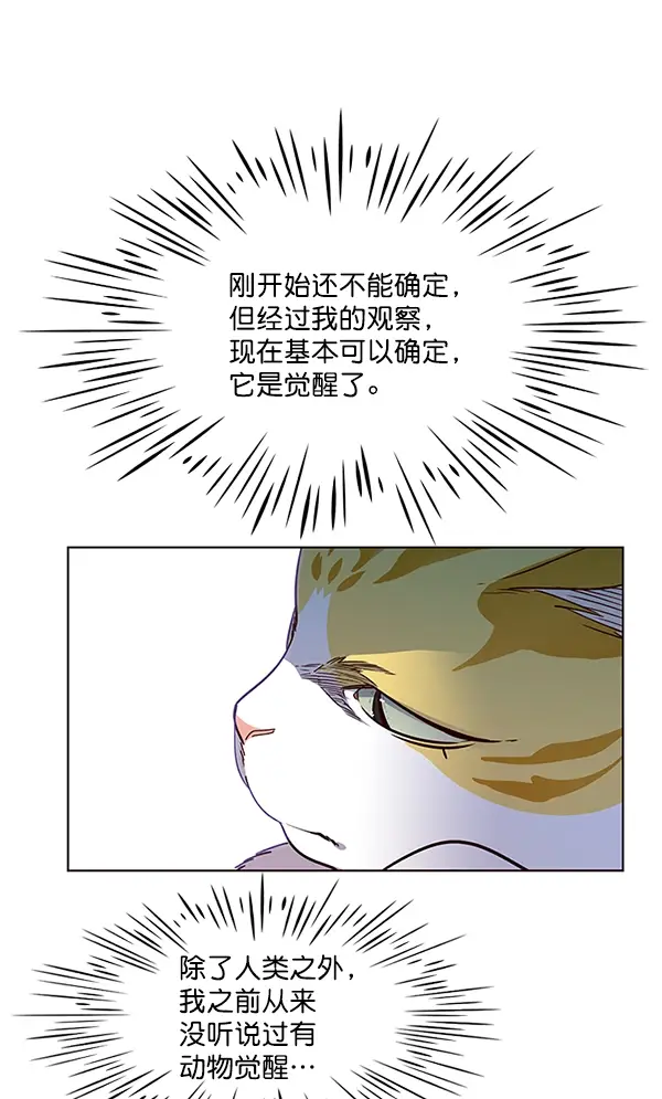 漫画《觉醒吧，铲屎官！》第6话第11张图