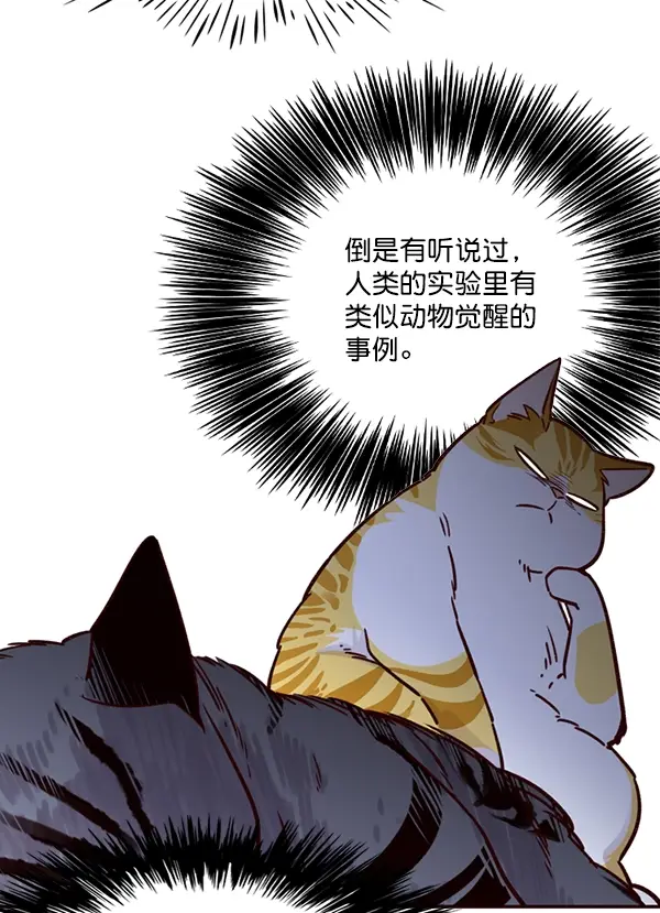 漫画《觉醒吧，铲屎官！》第6话第12张图