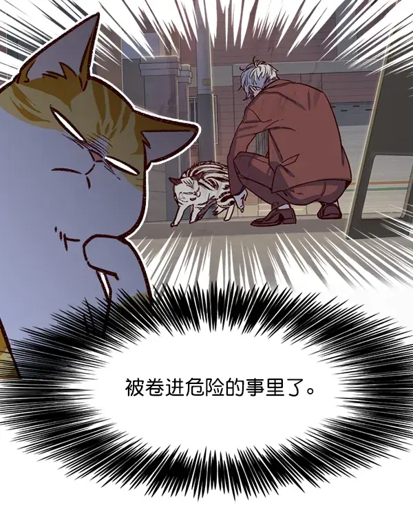 漫画《觉醒吧，铲屎官！》第6话第14张图