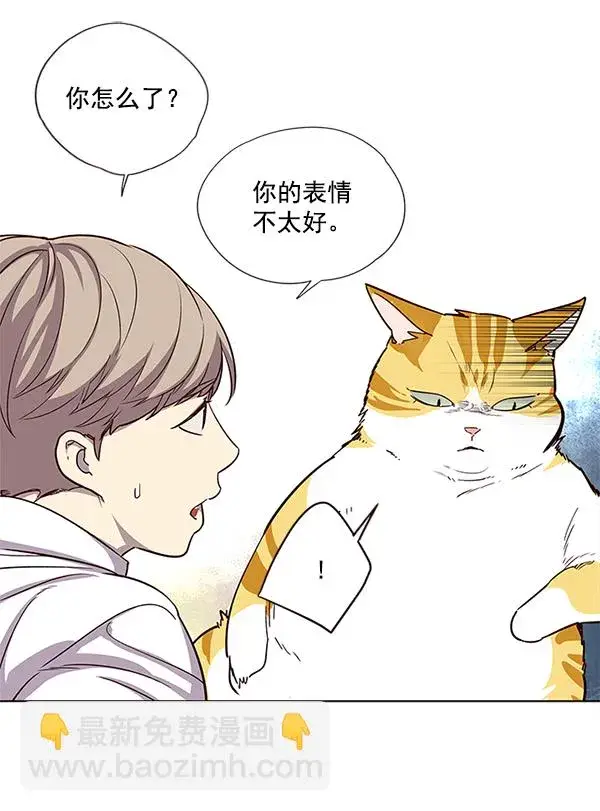 漫画《觉醒吧，铲屎官！》第6话第16张图