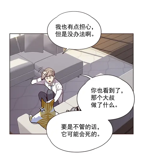 漫画《觉醒吧，铲屎官！》第6话第18张图