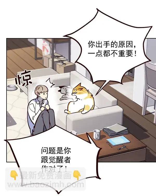 漫画《觉醒吧，铲屎官！》第6话第19张图