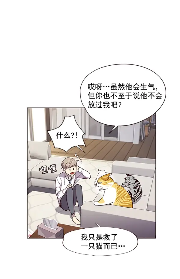 漫画《觉醒吧，铲屎官！》第6话第22张图