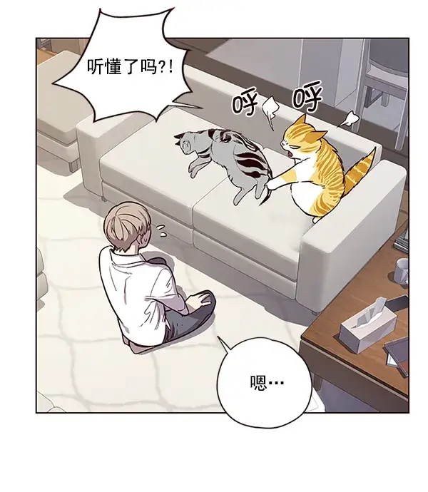 漫画《觉醒吧，铲屎官！》第6话第36张图