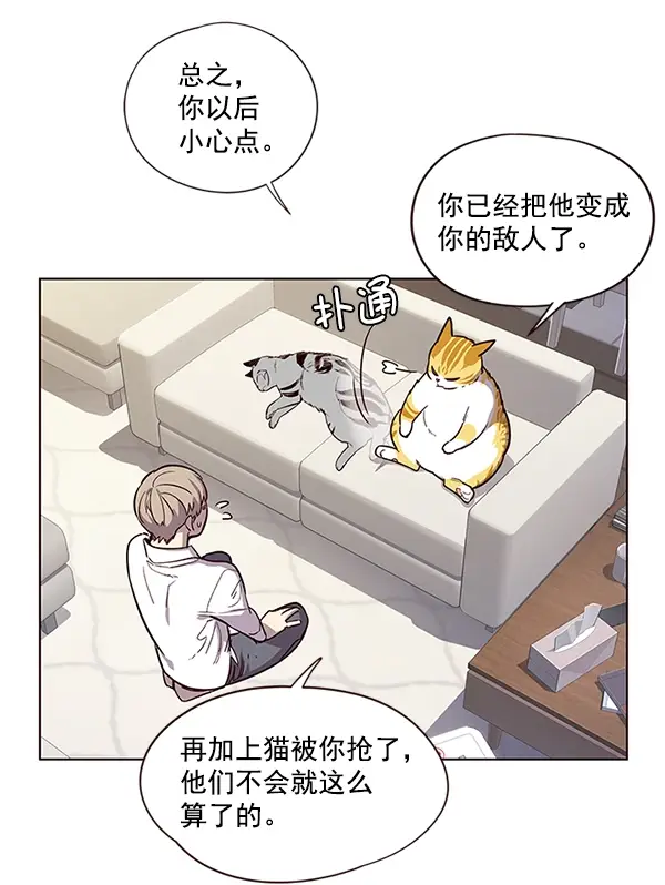 漫画《觉醒吧，铲屎官！》第6话第37张图