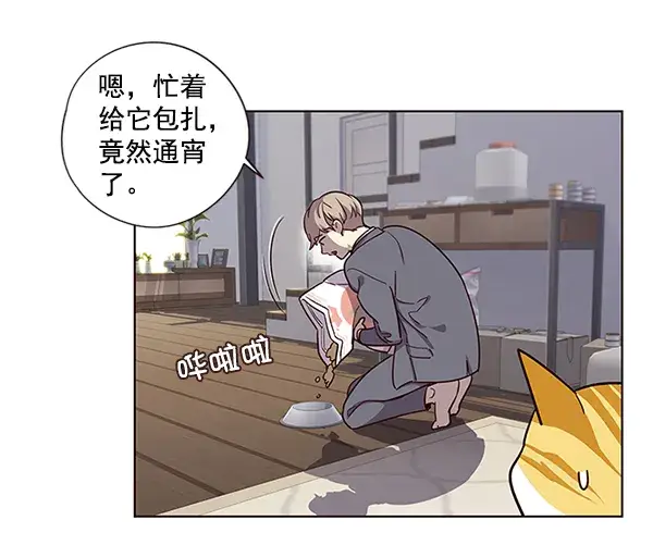 漫画《觉醒吧，铲屎官！》第6话第43张图
