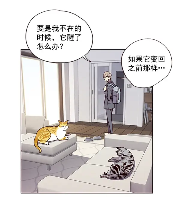 漫画《觉醒吧，铲屎官！》第6话第47张图