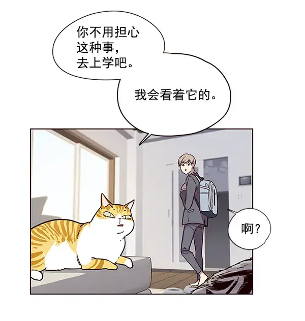 漫画《觉醒吧，铲屎官！》第6话第48张图