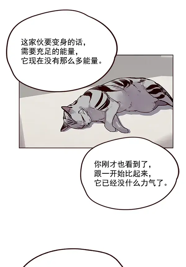 漫画《觉醒吧，铲屎官！》第6话第49张图