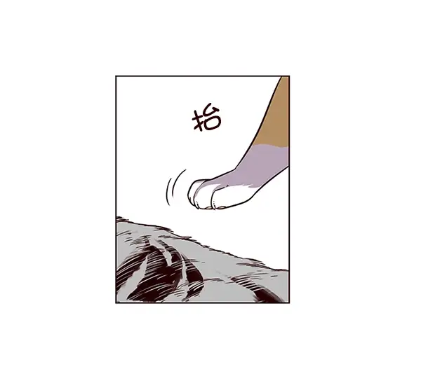 漫画《觉醒吧，铲屎官！》第6话第5张图