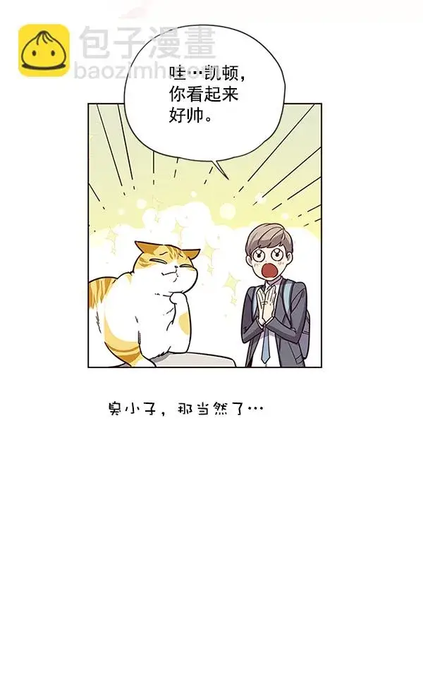 漫画《觉醒吧，铲屎官！》第6话第51张图