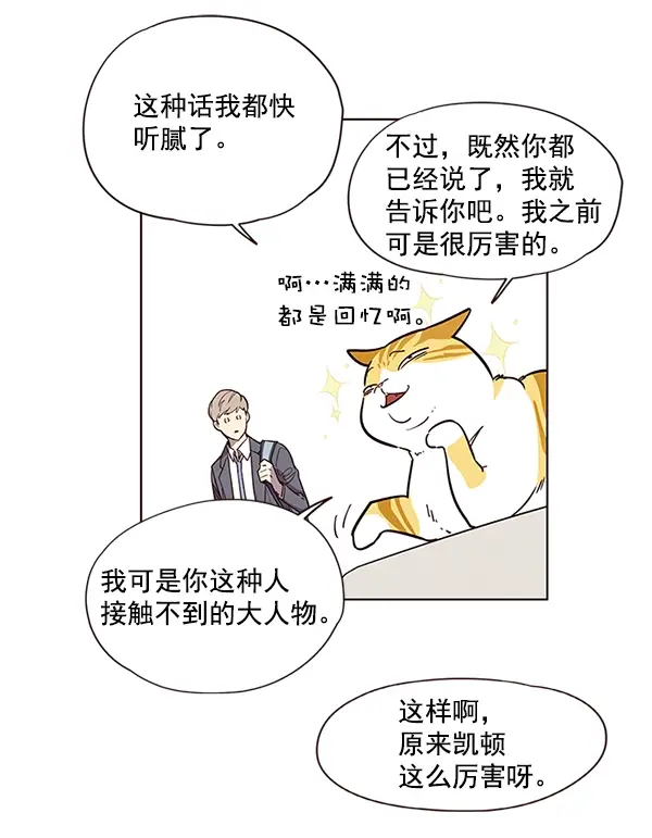 漫画《觉醒吧，铲屎官！》第6话第52张图