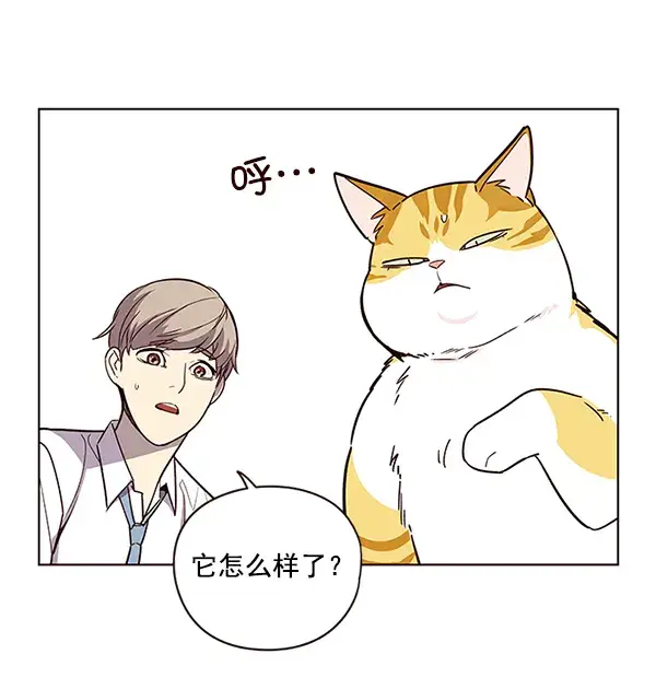 漫画《觉醒吧，铲屎官！》第6话第6张图