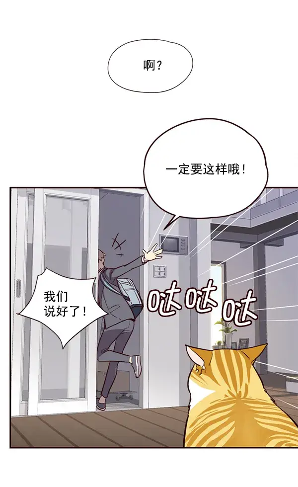 漫画《觉醒吧，铲屎官！》第6话第60张图