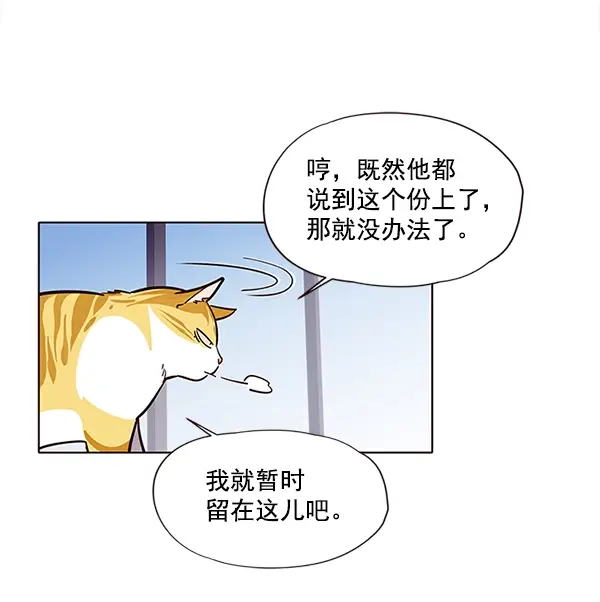 漫画《觉醒吧，铲屎官！》第6话第63张图