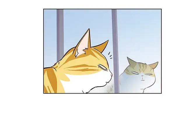 漫画《觉醒吧，铲屎官！》第6话第64张图