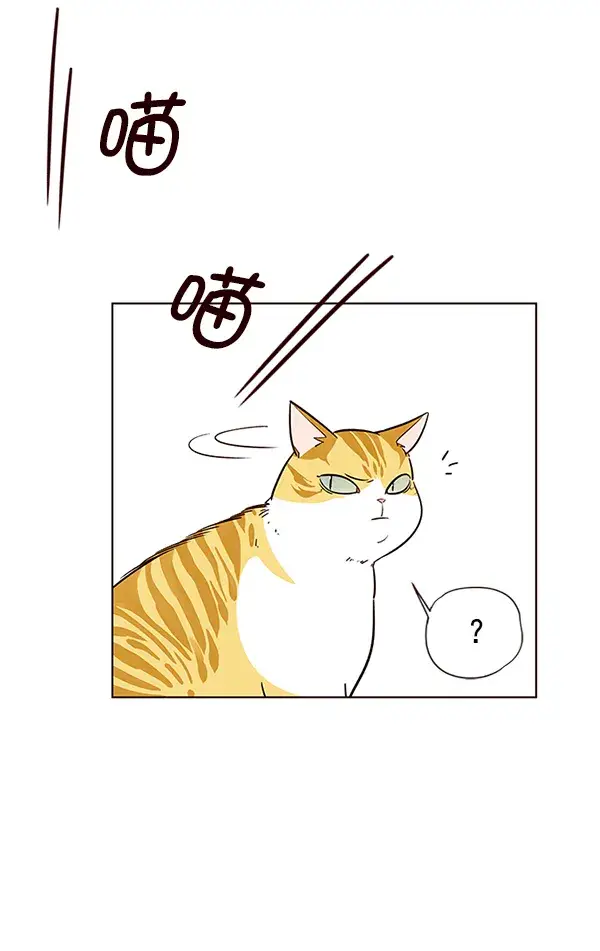 漫画《觉醒吧，铲屎官！》第6话第66张图