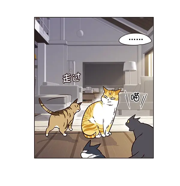 漫画《觉醒吧，铲屎官！》第6话第68张图