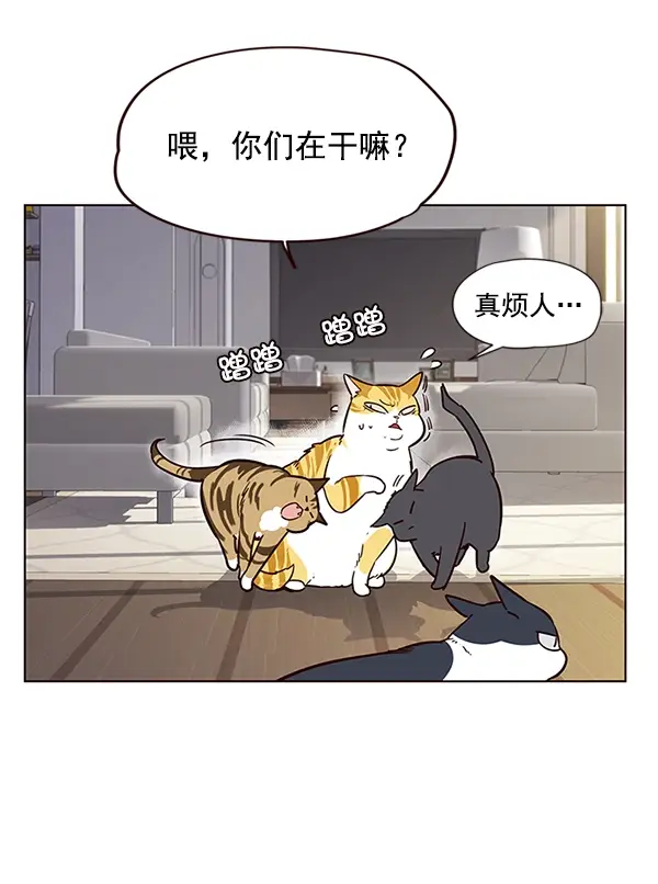 漫画《觉醒吧，铲屎官！》第6话第69张图