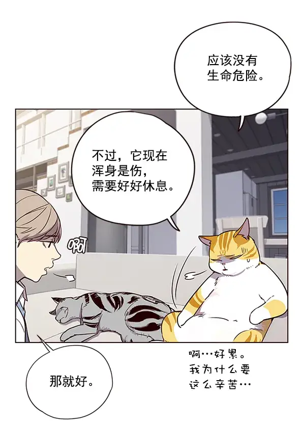 漫画《觉醒吧，铲屎官！》第6话第7张图