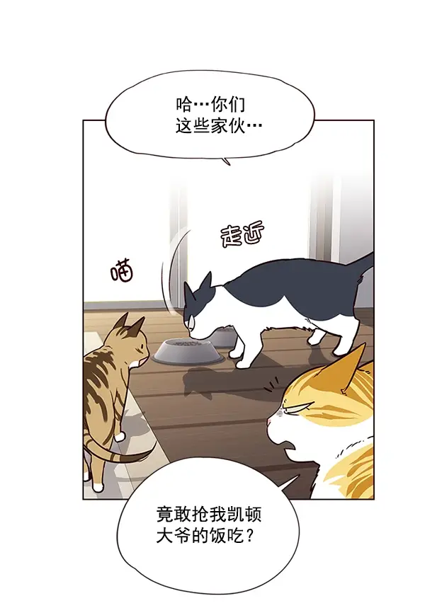 漫画《觉醒吧，铲屎官！》第6话第70张图