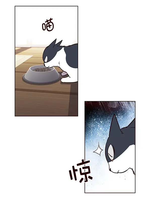 漫画《觉醒吧，铲屎官！》第6话第71张图
