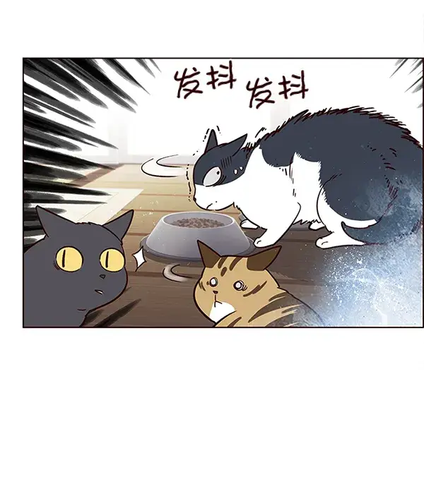 漫画《觉醒吧，铲屎官！》第6话第72张图