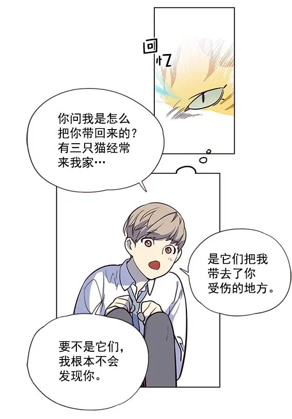 漫画《觉醒吧，铲屎官！》第6话第77张图