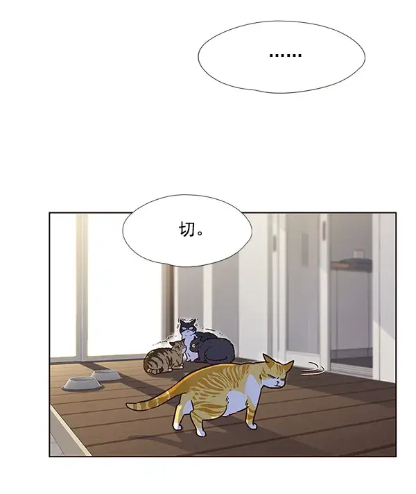 漫画《觉醒吧，铲屎官！》第6话第78张图